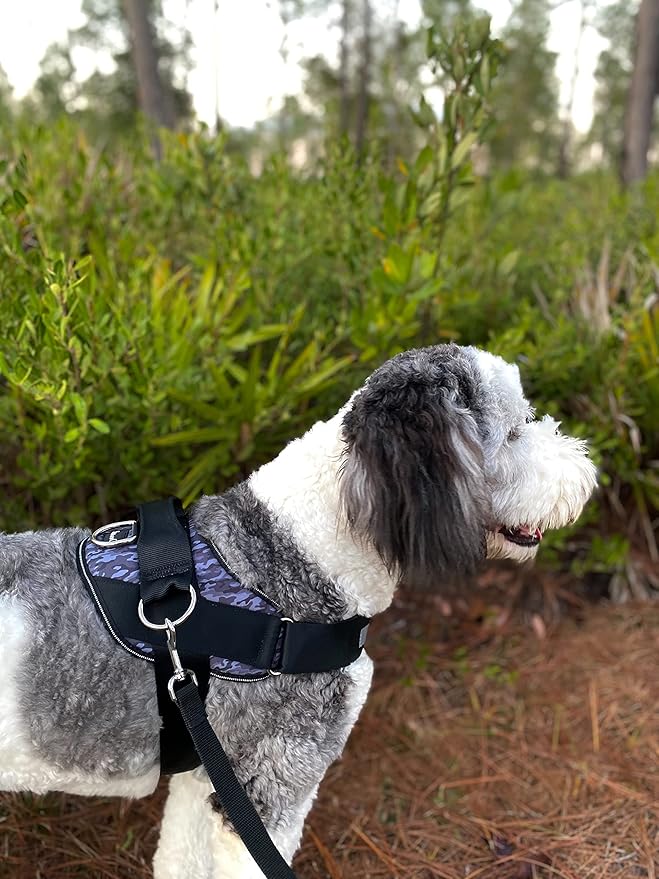 ShawnCo Essential Dog Harness, No-Pull Pet Vest with 3 Leash Clips, No Choke, Reflective, Adjustable and Padded, for Easy Walking and Training for Small, Medium and Large Dogs (Dark Camo, XL)