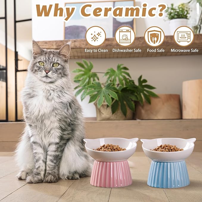 Ceramic Raised Cat Bowl,Tilted Raised Bowl Anti Vomit Bowls for Indoor Cats Whisker Friendly Pet Feeder for Cats Puppies, Microwave and Dishwasher Safe