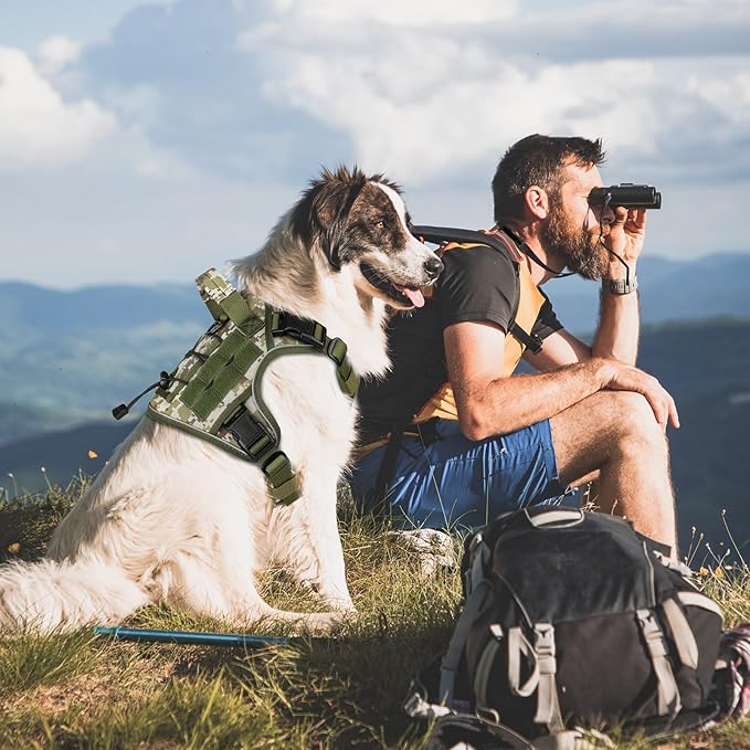 WINGOIN Tactical Dog Harness for Medium Dogs, Heavy Duty No Pull Dog Harness with Handle, Adjustable Reflective Military K9 Pet Vest for Pitbull, Female, Male, Walking, Hunting, Green Camo (M)