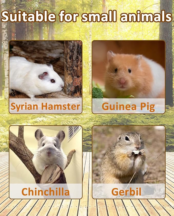 BNOSDM Large Wooden Hamster Platform with Ladder - Natural Wood Standing Platform for Syrian Hamsters, Guinea Pigs, Gerbils, Chinchillas, Mice