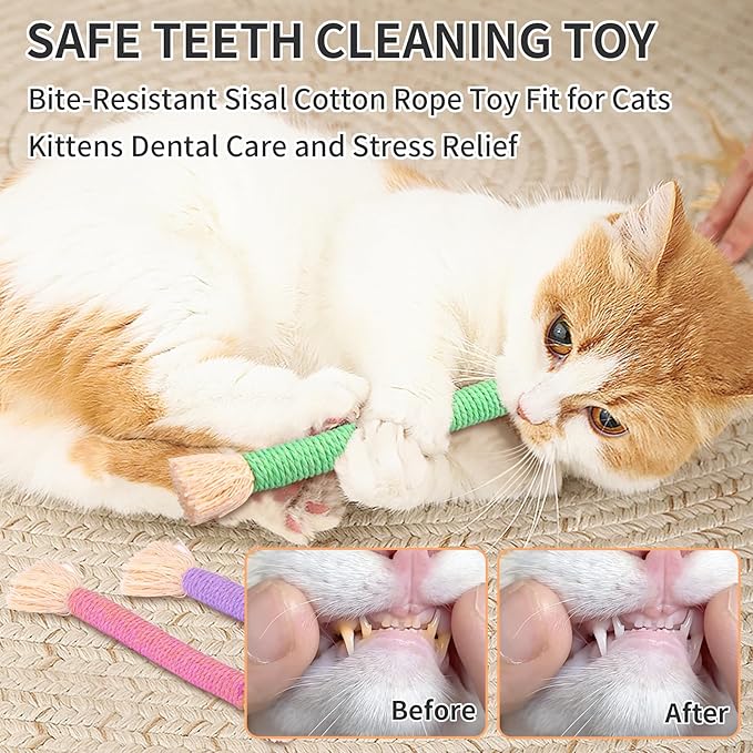Retro Shaw Cat Toys Ropes with Catnip, 6Pcs Kitten Teething Chew Toys for Indoor Cats, Interactive Cat Nip Kitty Toys Kicker, Safe Durable Upgraded