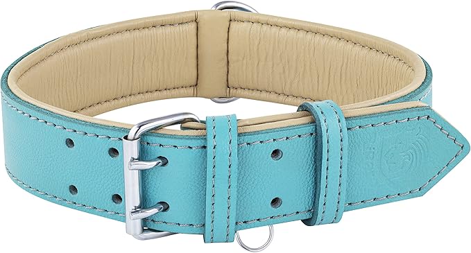 Riparo Adjustable Leather Dog Collar - Heavy Duty Wide Dog Collar for Small, Medium, Large and Extra Large Dogs with Dog Tag Holder, Blue Dog Collars (XL: 1.75" Wide for 21โ-25โ Neck, Aqua)