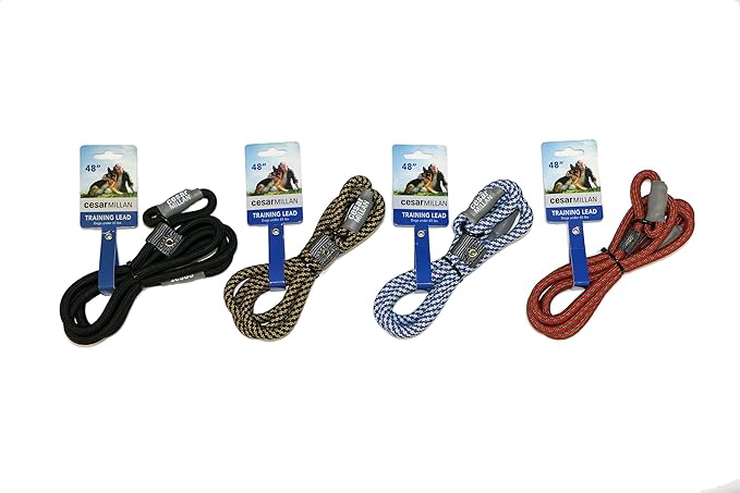 Cesar Millan Slip Lead Leash™ - 2-in-1 Slip Collar Dog Training Lead & Collar | Heavy Duty Durable Weatherproof Rope Leash, No Pull Training | Length 4ft Diameter 4/10”(Regular, Aqua/Purple)