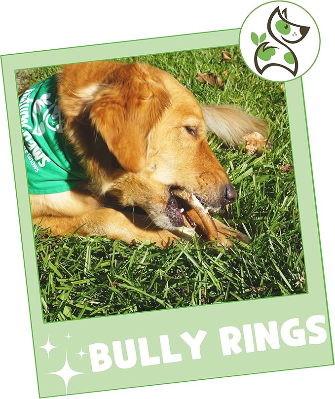 Nature Gnaws Bully Stick Rings for Dogs (5 Count) - Long Lasting for Aggressive Chewers - Natural Beef Dog Chew Bones - Rawhide Free
