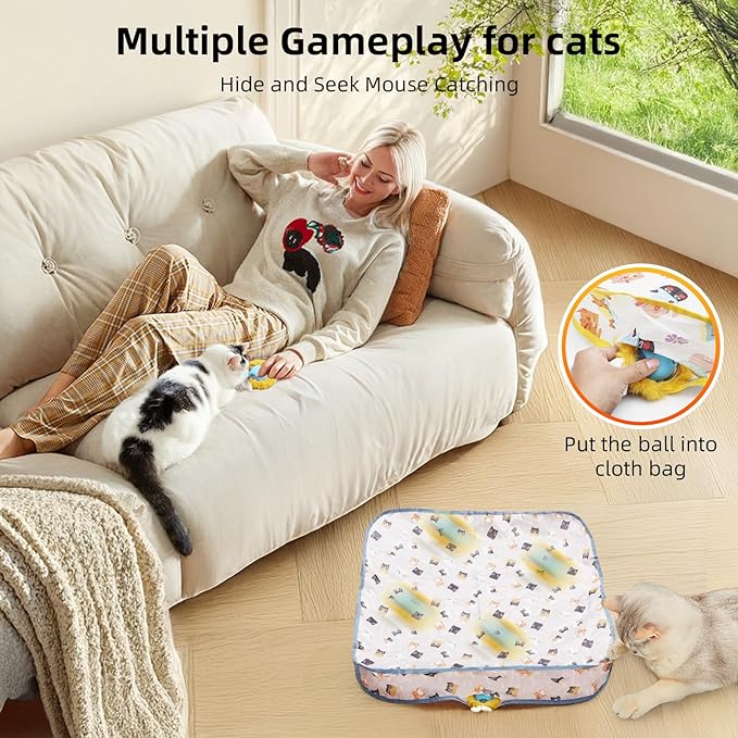 Interactive Cat Toy Ball, Automatic Moving Cat Ball in Pouch,Interactive Cat Toys for Indoor Cats,Motion Activate Cat Toy Hide and Seek Mouse Catching Game ,Kitten Toys, Play Mat for Cats(Square)