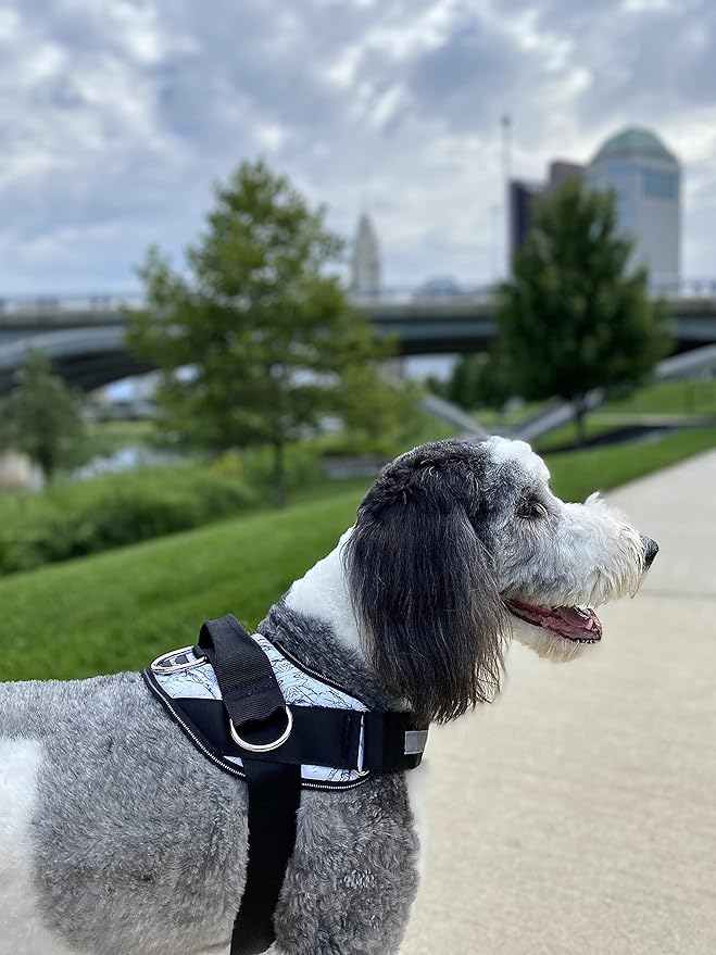 ShawnCo Essential Dog Harness, No-Pull Pet Vest with 3 Leash Clips, No Choke, Reflective, Adjustable and Padded, for Easy Walking and Training for Small, Medium and Large Dogs (White Marble, XS)