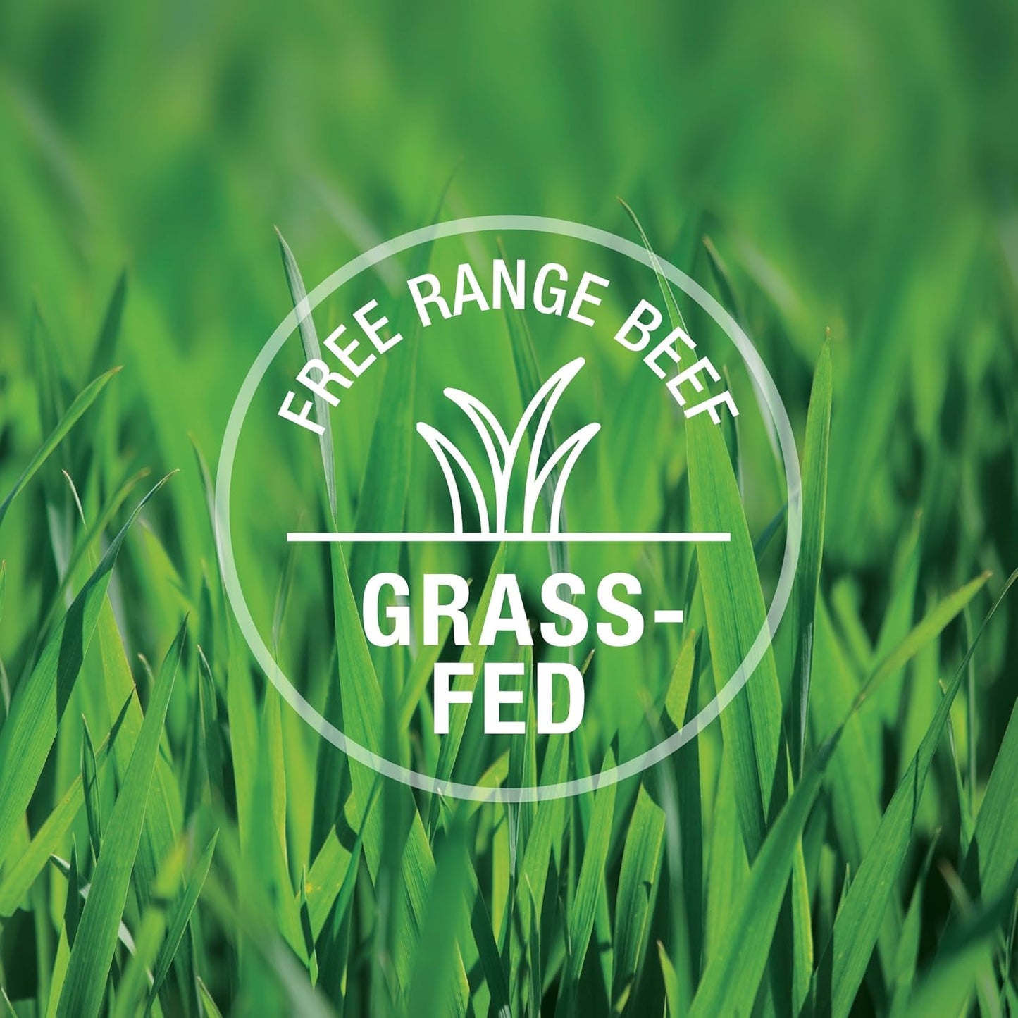 K9 Natural - Grain Free Freeze Dried Dog Food - Beef, 17.6 Ounce