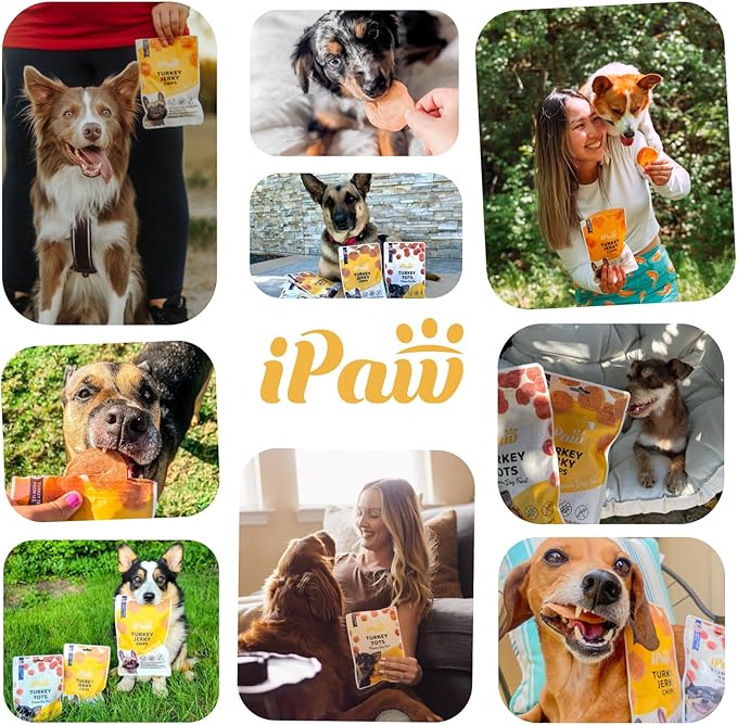 iPaw Chicken Tots Dog Treats for Puppy Training, All Natural Human Grade Dog Treat, Hypoallergenic, Easy to Digest (Chicken Tots), 3 Packs