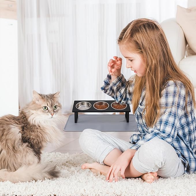 Upgraded Elevated Cat Bowls with Food Mat,15°Tilted Stand Anti Vomiting Raised Cat Dishes for Food and Water,3 Stainless Steel Bowls for Cats and Puppy(Black)