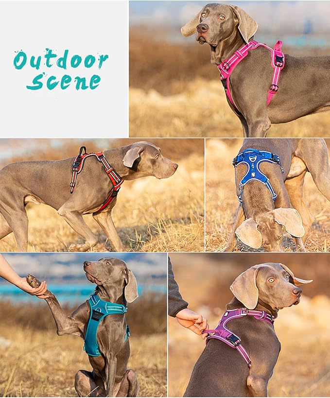 TRUE LOVE Dog Harness No Pull Nylon Reflective Pet Harness Adjustable Comfortable Control Step-in Brilliant Colors Truelove TLH56512 XS Grass Green