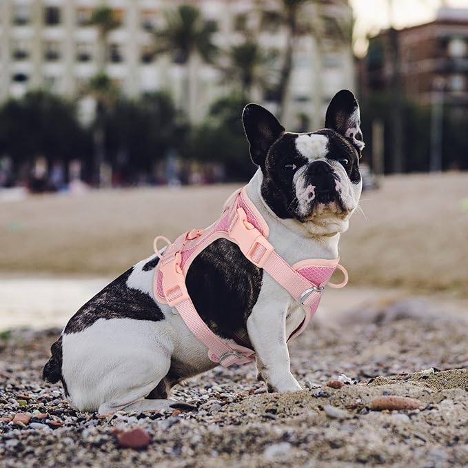 Wisedog Mesh Breathable Dog Harness: No Pull Harness with 3 Fast-Release Buckles Adjustable for Walking & Training for Small Medium Large Dogs (Pink, L: Neck=20"-25"/Chest=17"-33")