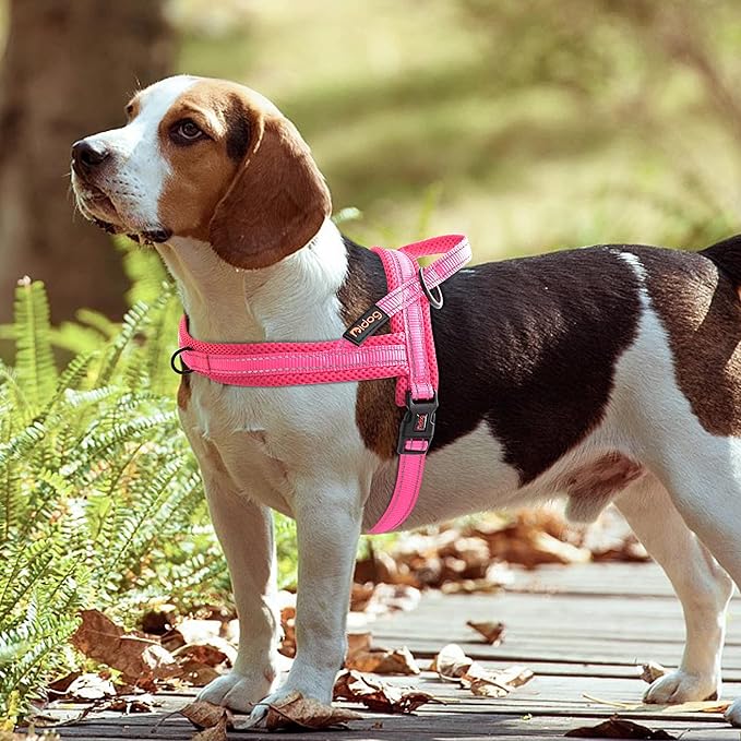 Didog No Pull Dog Harness with Soft Mesh Padded,Reflective & Quick Fit Light Weight Dog Strap Vest Harness,Easy for Walking Training (XS:Chest 15-18", Pink)
