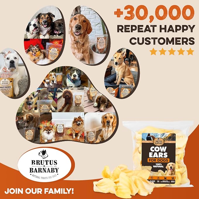 Cow Ears for Dogs – Whole Ears 12 ct, Thick Cut, Grass-Fed Angus Beef, All-Natural No-Rawhide Dog Treat Alternative