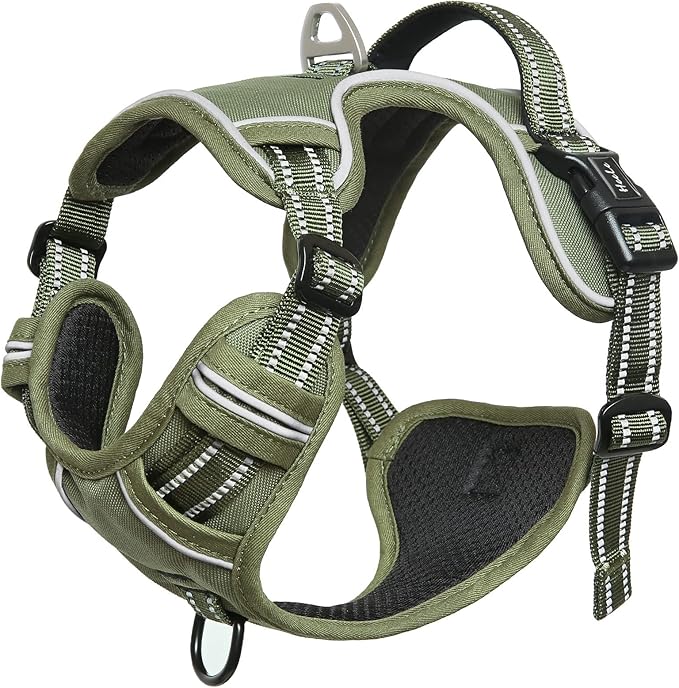 HEELE Dog Harness, Dog Harness for Small Medium Large Dogs No Pull Adjustable Padded Reflective Harness with Handle for Walking Training, Green, XS