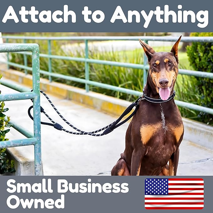 Premium 6 Ft Dog Leash - Two Extra Padded Handles, Heavy Duty Leashes for Medium Dogs to Large Breeds, Reflective, Shock-Absorbing, Anti-Pull Rope Leash, Strong Pet Lead for Everyday Walks - Roam Gear