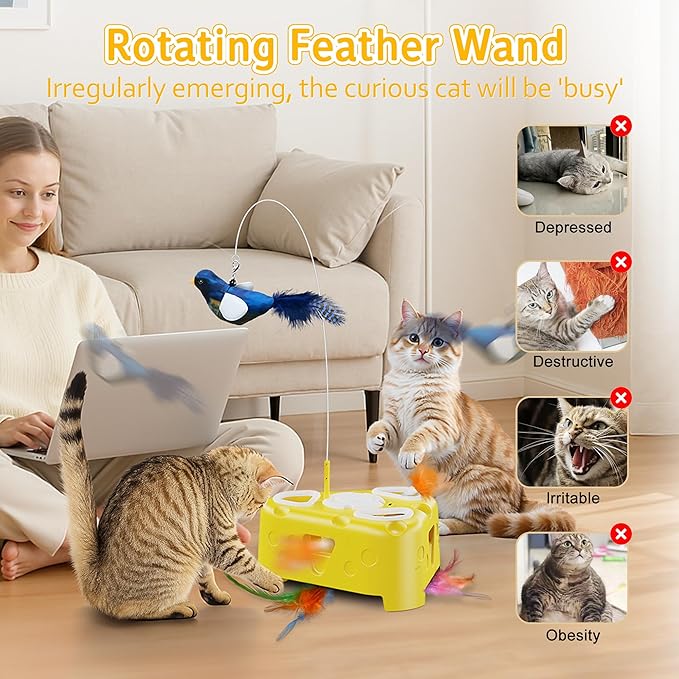Interactive Cat Toy for Indoor Cats, Enrichment Stimulation Kitten Toys,Flying Bird,6 Holes Mole,Rotating Feather, USB Rechargeable Electronic Interactive Feather Toy for Bored Adult & Kitten Cats