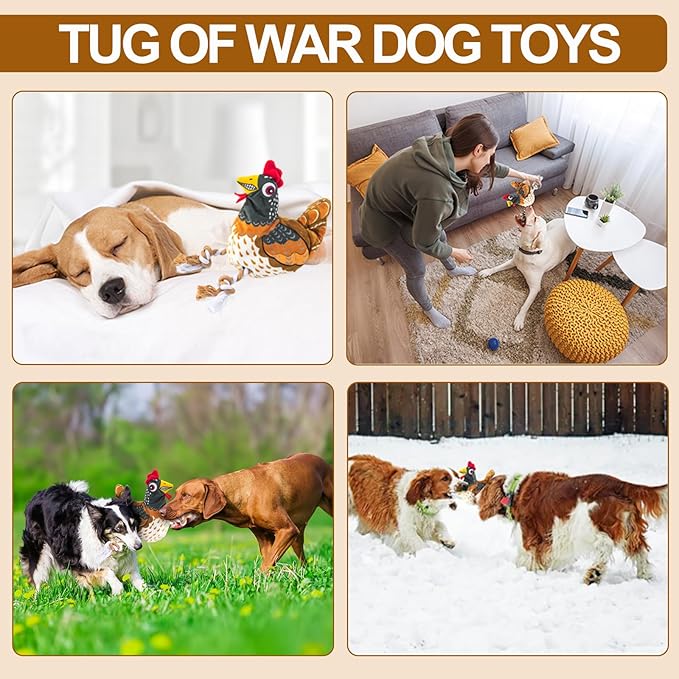 Squeaky Chicken Dog Toy with Pullable Egg β Full-Body Crinkle Plush & Rope Legs, Durable Interactive Toy for Small, Medium & Large Dogs