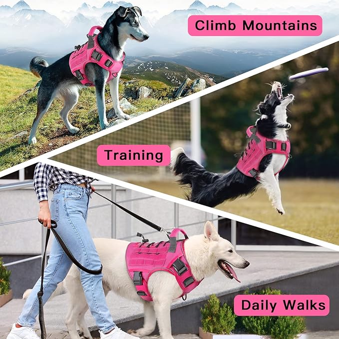 WINGOIN Pink Tactical Dog Harness for Small Dogs, Heavy Duty No Pull Harness with Handle, Adjustable Reflective Military K9 Pet Vest for French Bulldog, Pug, Walking, Training, Hunting (S)