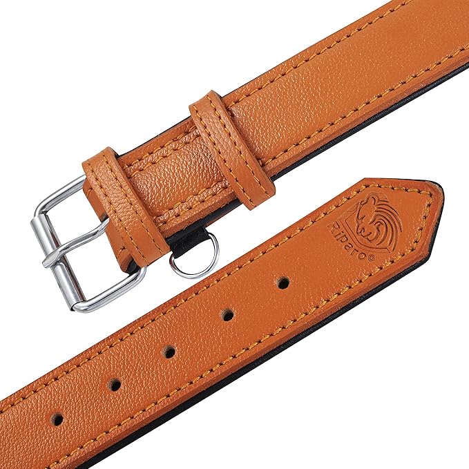Riparo Orange Leather Dog Collar - Heavy Duty Wide Dog Collar for Small, Medium, Large and Extra Large Dogs with Dog Tag Holder (M: 1" Wide for 13.5β-17.5β Neck, Orange)