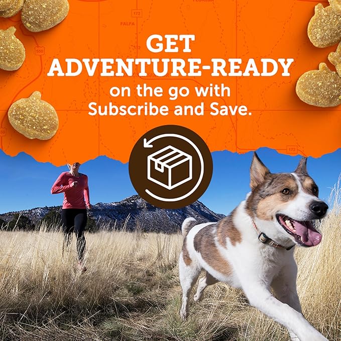 Zuke’s Mini Naturals Dog Training Treats for Dogs of All Sizes, Pet Treats made with Real Chicken - 10 oz. Pouch