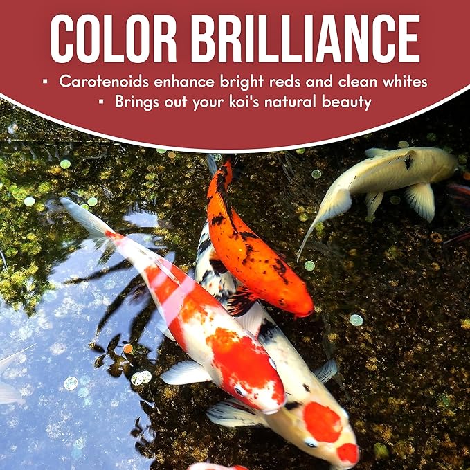 Pack of 8 Color Extra Swim Koi Fish Food of 2.5lb for All Stages of Live Koi Fish - Floating Pellet of Size 4.5mm