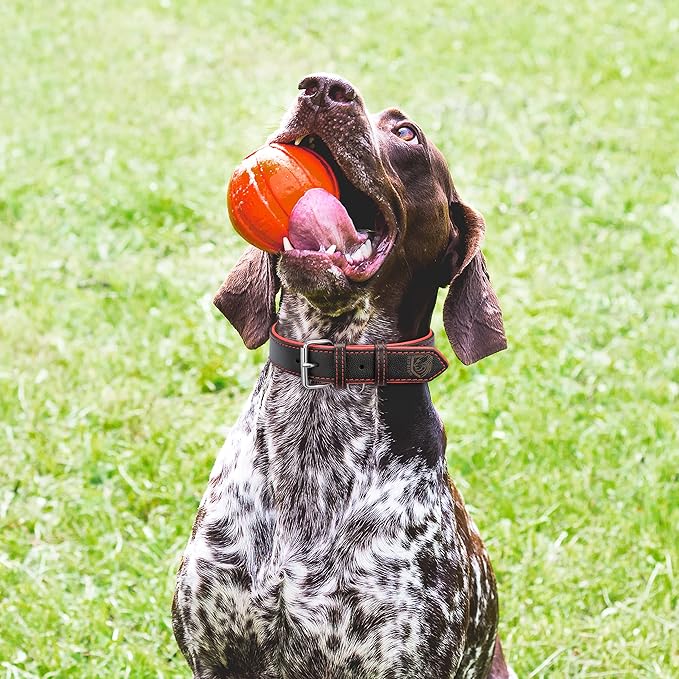 Riparo Adjustable Leather Dog Collar - Heavy Duty Wide Dog Collar for Small, Medium, Large and Extra Large Dogs with Dog Tag Holder (L: 1.5" Wide for 17"-21" Neck, Black/Red Thread)