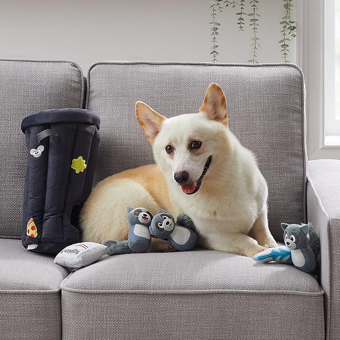 Outward Hound Hide A Raccoon Plush Dog Toy Puzzle