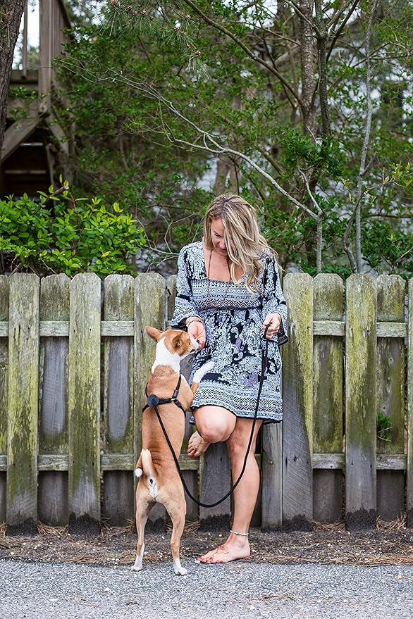 Harness Lead No Pull Dog Harness and Leash Set, Anti Pull Dog Harness for All Breeds and Sizes, One-Piece Cushioned Rope Design Safely Prevents Escaping and Pulling (Small/Medium, Black/Reflective)