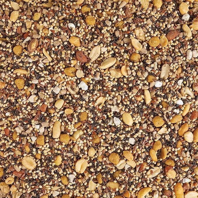 Kaytee Wild Bird Food, Summer Nesting Seed Blend, 8 lb
