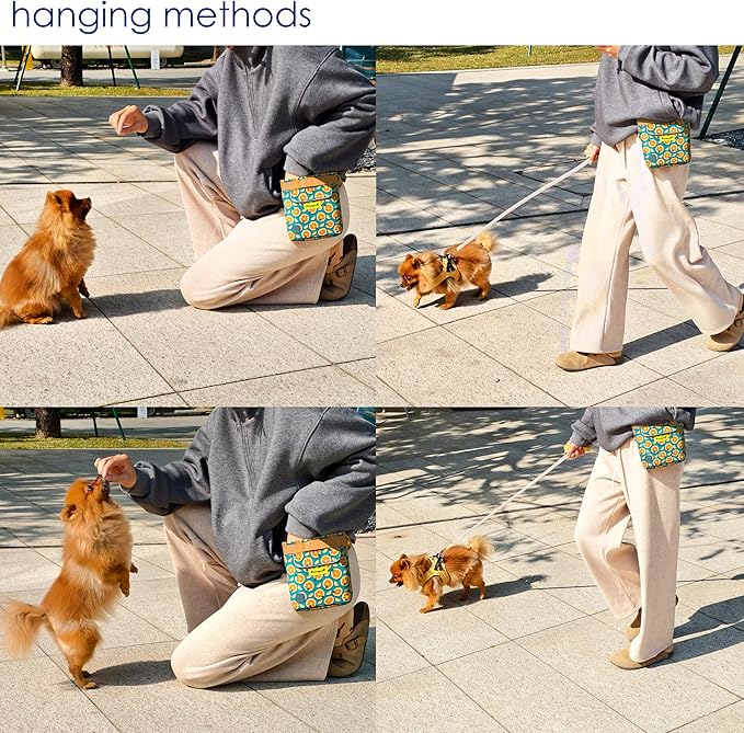 Dog Treat Pouch for Pet Walking and Training with Clicker 2 Cup Silicone Bag Small Fanny Pack Holder for Puppy Snack Dispenser Kit for Leash and Outdoor Use (Fruit Orange)