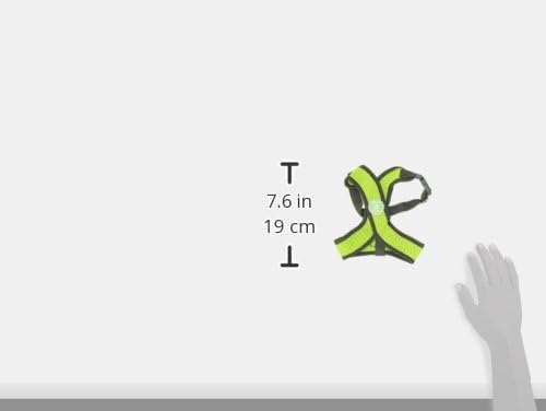 Gooby Comfort X Head In Harness - Green, Medium - No Pull Small Dog Harness Patented Choke-Free X Frame - Perfect on the Go Dog Harness for Medium Dogs No Pull or Small Dogs for Indoor and Outdoor Use