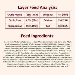 Prairie's Choice Non-GMO Backyard Chicken Feed - Layer Formula, 25lbs
