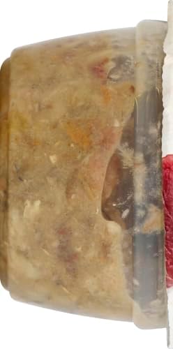 Nutrish Rachael Ray Natural Wet Cat Food, Ocean Fish-A-Licious Recipe, 2.8 Ounce Cup (Pack of 12), Grain Free