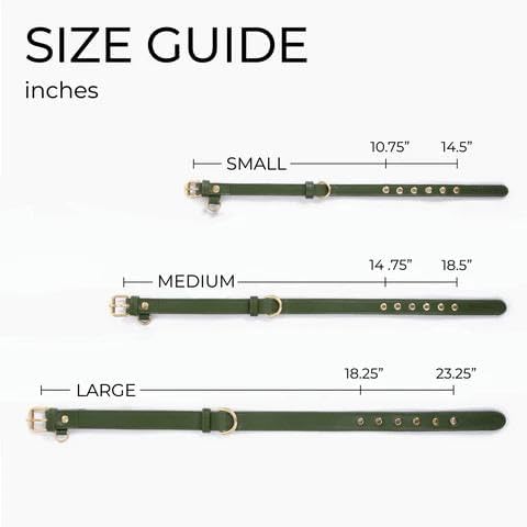 Cactus Leather Dog Collar - Eco-Friendly, Stylish, Easy-to-Clean Pet Collar with Gold Hardware, D-Rings for Leash & ID Tag (Large, Green)