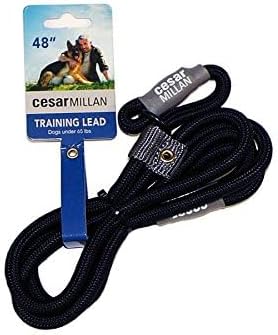 Cesar Millan Slip Lead Leash™ - 2-in-1 Slip Collar Dog Training Lead & Collar | Heavy Duty Durable Weatherproof Rope Leash, No Pull Training | Length 4ft Diameter 4/10”(Regular, Black)