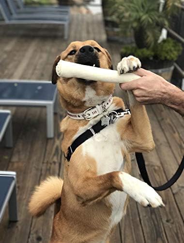 Cowdog Chews Retriever roll 9-10 inch All Natural Rawhide Product (40 Pack)