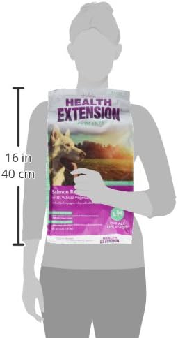 Health Extension Grain Free Salmon & Sweet Potato Dry Dog Food (4 lb / 1.81 kg) - Whole Foods Ingredients Formula with Omega 3 & Antioxidants for All Life Stages Dogs