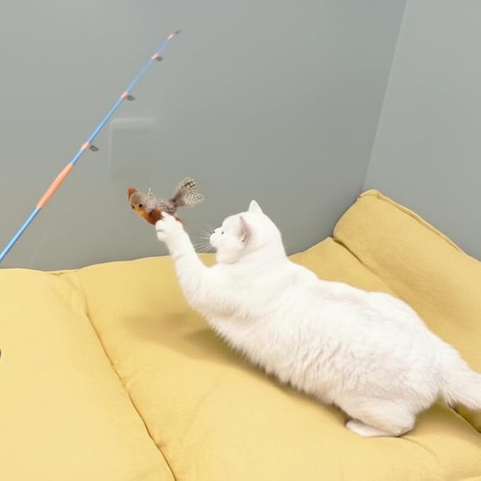 AGGER Cat Casting Fishing Pole Toy, Cat Casting Toy Set, Interactive Toy for Cats, Tangle-Free Design, Cat Toy for Indoor Outdoor Cats