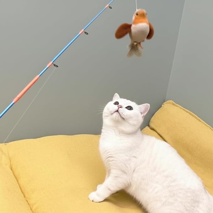 AGGER Cat Casting Fishing Pole Toy, Cat Casting Toy Set, Interactive Toy for Cats, Tangle-Free Design, Cat Toy for Indoor Outdoor Cats