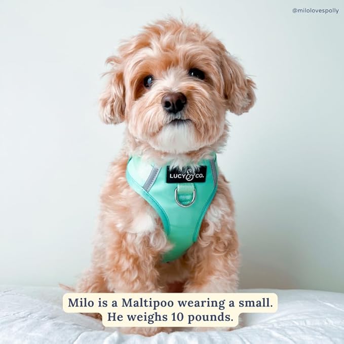 Lucy & Co. The Spring Green No-Pull Dog Harness - Size X-Small - Vest to Stop Pulling & Walk Easy - Comfortable Leash Training Product w/Adjustable Chest & Neck Straps