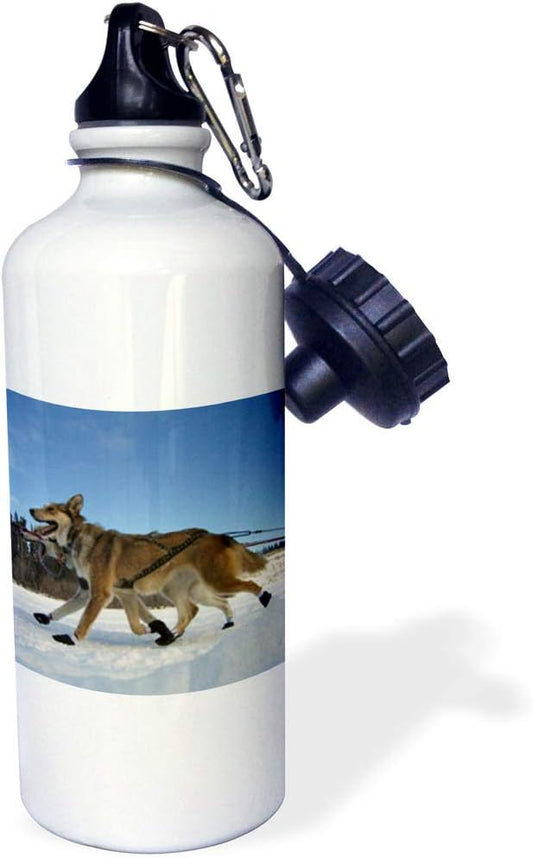 3dRose Yukon Quest Sled Dogs on The Takhini River Sports Water Bottle, 21 oz, White
