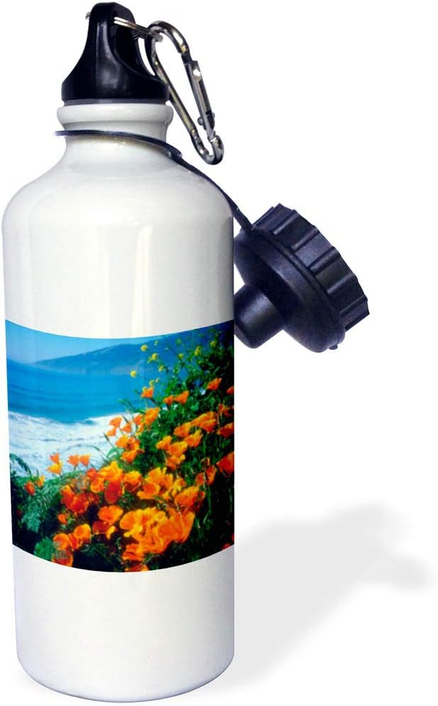 3dRose USA, California Poppies Along The Pacific Coast. -Sports Water Bottle, 21oz , 21 oz, Multicolored