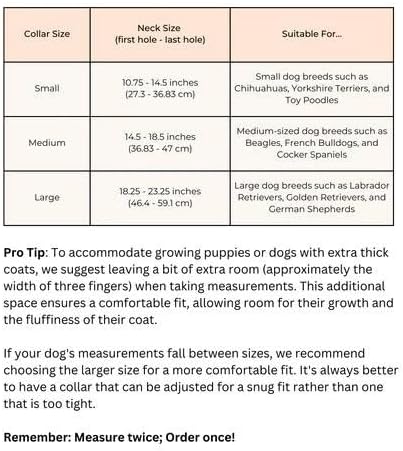 Cactus Leather Dog Collar - Eco-Friendly, Stylish, Easy-to-Clean Pet Collar with Gold Hardware, D-Rings for Leash & ID Tag (Medium, Black)