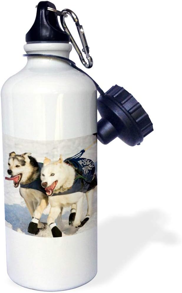 3dRose Dogs, Iditarod Start, Alaska David Northcott Sports Water Bottle, 21 oz, White