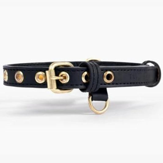 Cactus Leather Dog Collar - Eco-Friendly, Stylish, Easy-to-Clean Pet Collar with Gold Hardware, D-Rings for Leash & ID Tag (Large, Black)