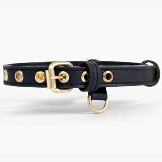 Cactus Leather Dog Collar - Eco-Friendly, Stylish, Easy-to-Clean Pet Collar with Gold Hardware, D-Rings for Leash & ID Tag (Small, Black)