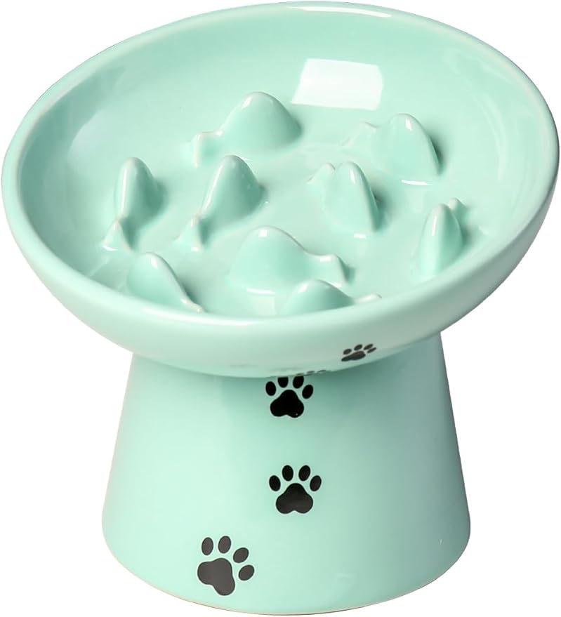 Y YHY 6 Inches Cat Slow Feeder Bowl, Elevated Dog Feeder, Ceramic Anti-Vomiting Bowl for Dry and Wet Food, Green