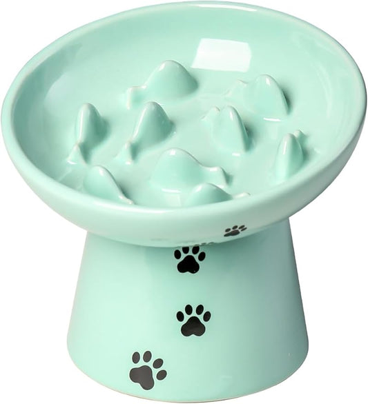 Y YHY 6 Inches Cat Slow Feeder Bowl, Elevated Dog Feeder, Ceramic Anti-Vomiting Bowl for Dry and Wet Food, Green
