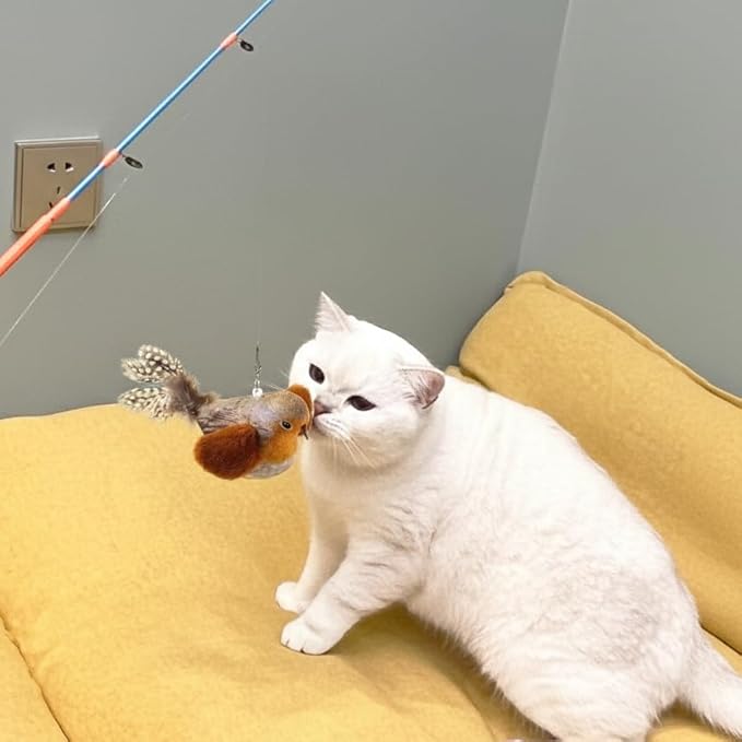 AGGER Cat Casting Fishing Pole Toy, Cat Casting Toy Set, Interactive Toy for Cats, Tangle-Free Design, Cat Toy for Indoor Outdoor Cats