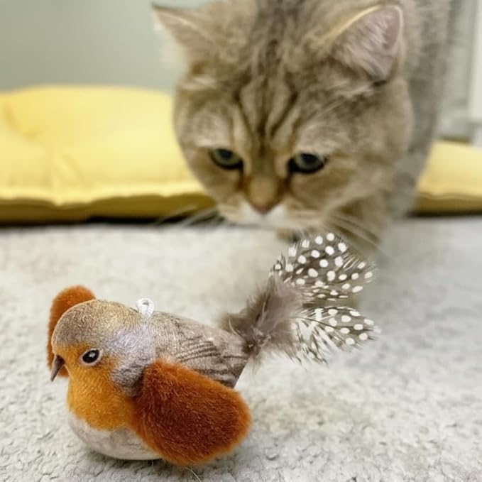 AGGER Cat Casting Fishing Pole Toy, Cat Casting Toy Set, Interactive Toy for Cats, Tangle-Free Design, Cat Toy for Indoor Outdoor Cats